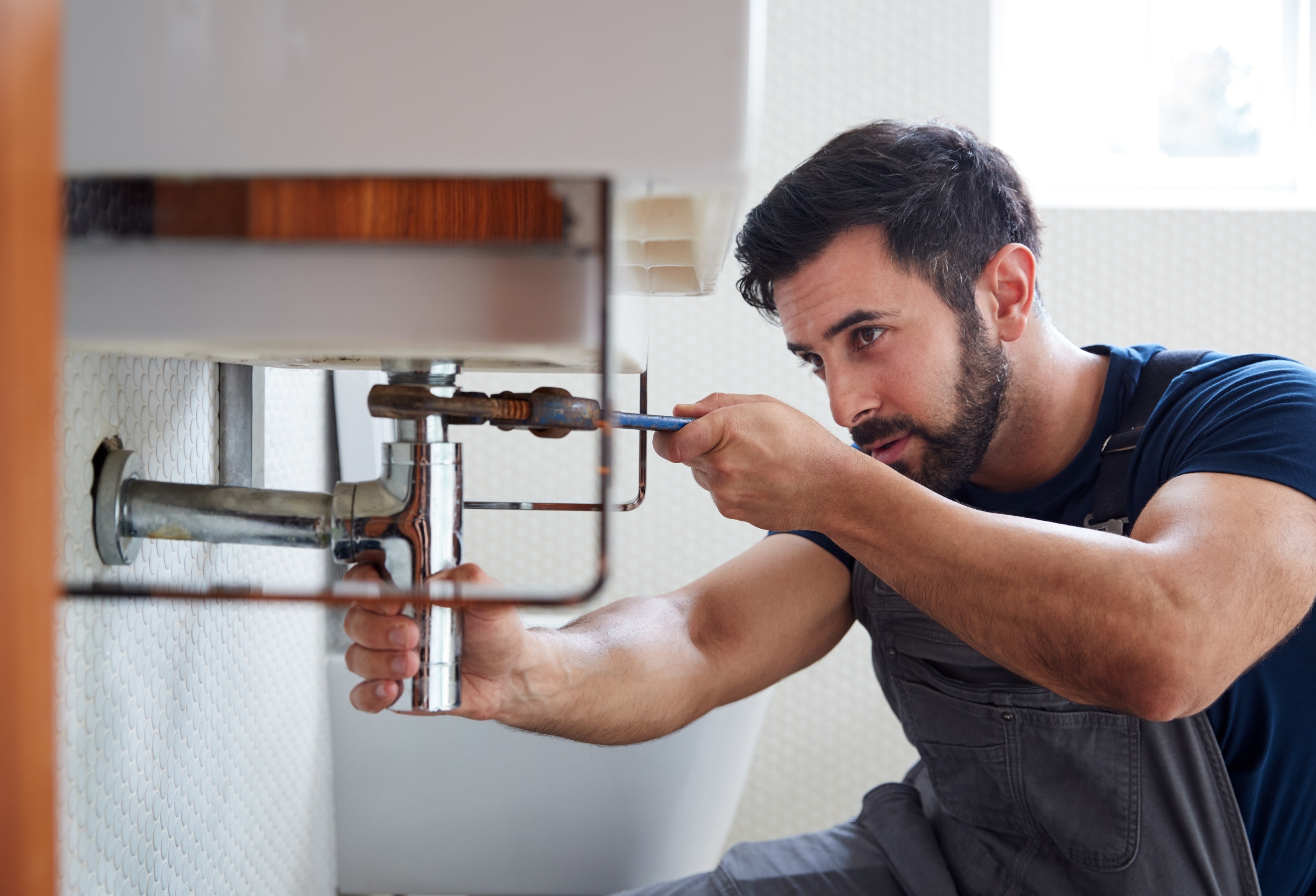 Servicios sanitarios profesionales